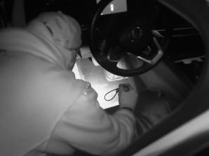 [VIDEO] Członkowie rodziny prowadzili działalność sutenerską