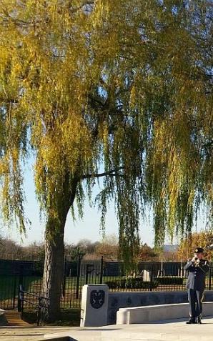 Londyn: Premier Beata Szydło oddała hołd bohaterom z Dywizjonu 303