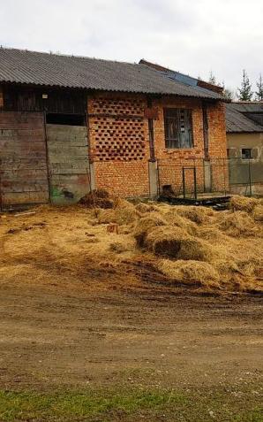 Lesko: Martwe konie znalezione w gospodarstwie na Podkarpaciu