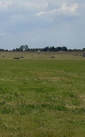 Lublin: Śmiertelny wypadek skoczka spadochronowego na lotnisku w Radawcu Dużym