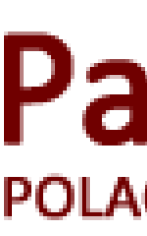 [VIDEO] Wyłudzili auta i maszyny budowlane za ponad milion złotych. Dorwali ich zawodowcy z CBŚP