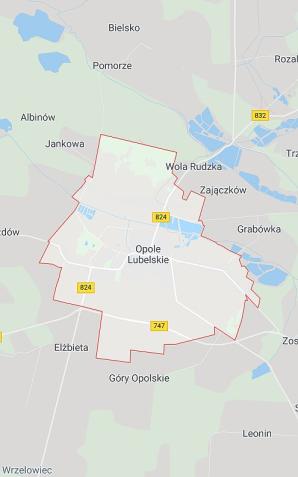 6-letnie dziecko zaatakowane i pogryzione przez 2 duże psy! Jest w szpitalu