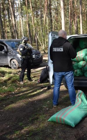 [VIDEO] Zlikwidowano nielegalną fabrykę tytoniu