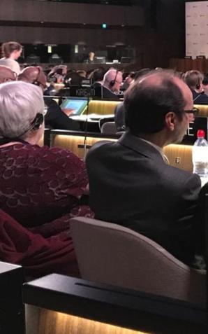 Sukces Grupy Przyjaciół Ukrainy na forum UNESCO