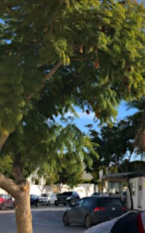 [VIDEO] Dlaczego w Tunezji Polka nie może odzyskać 3-letniego synka? Pourquoi une Polonaise ne peut-elle pas ramener son fils de 3 ans en Tunisie? Why can't a Polish woman get her 3-year-old son back in Tunisia? [PL/FR/EN]