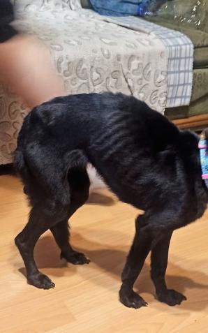 „Cokolwiek uczyniliście jednemu z tych braci moich najmniejszych, Mnieście uczynili”. 40-latka odpowie za swe czyny przed sądem