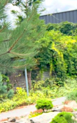 [VIDEO] Oszukana metodą „na obietnicę zakupu domu” prosi o pomoc Biuro Rutkowski