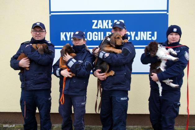 Mantrailing - polska edycja